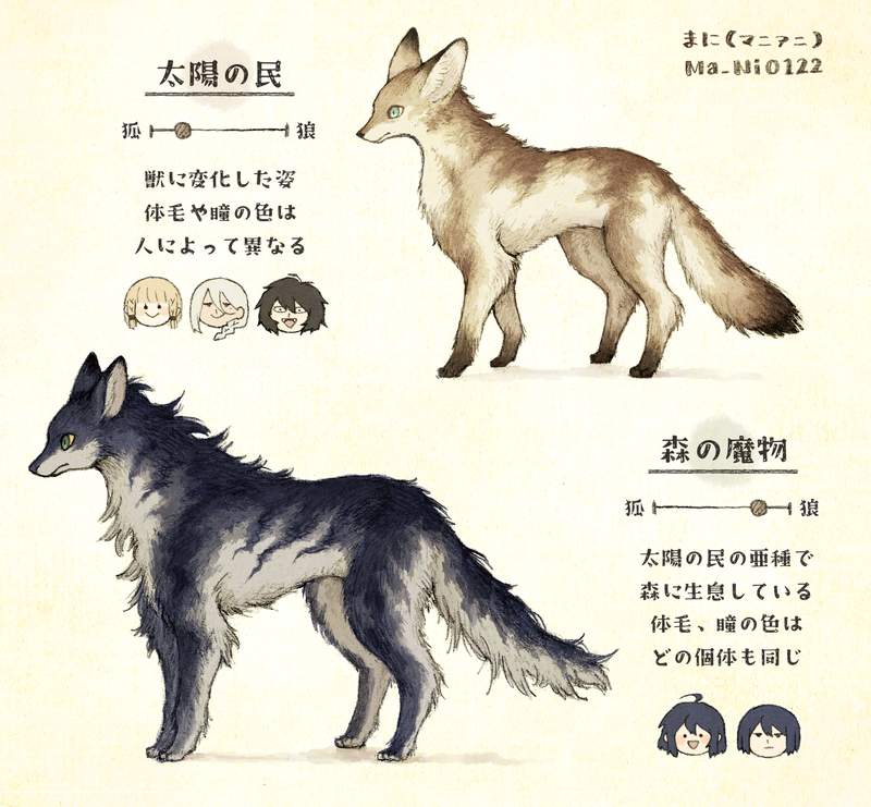 砂漠民族まとめ